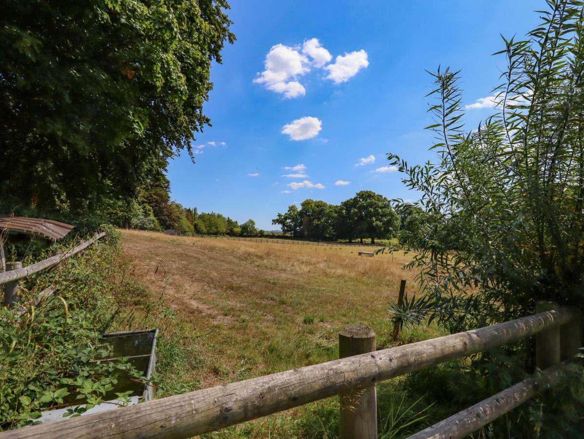 Nethercott House Winkleigh Zewnętrze zdjęcie
