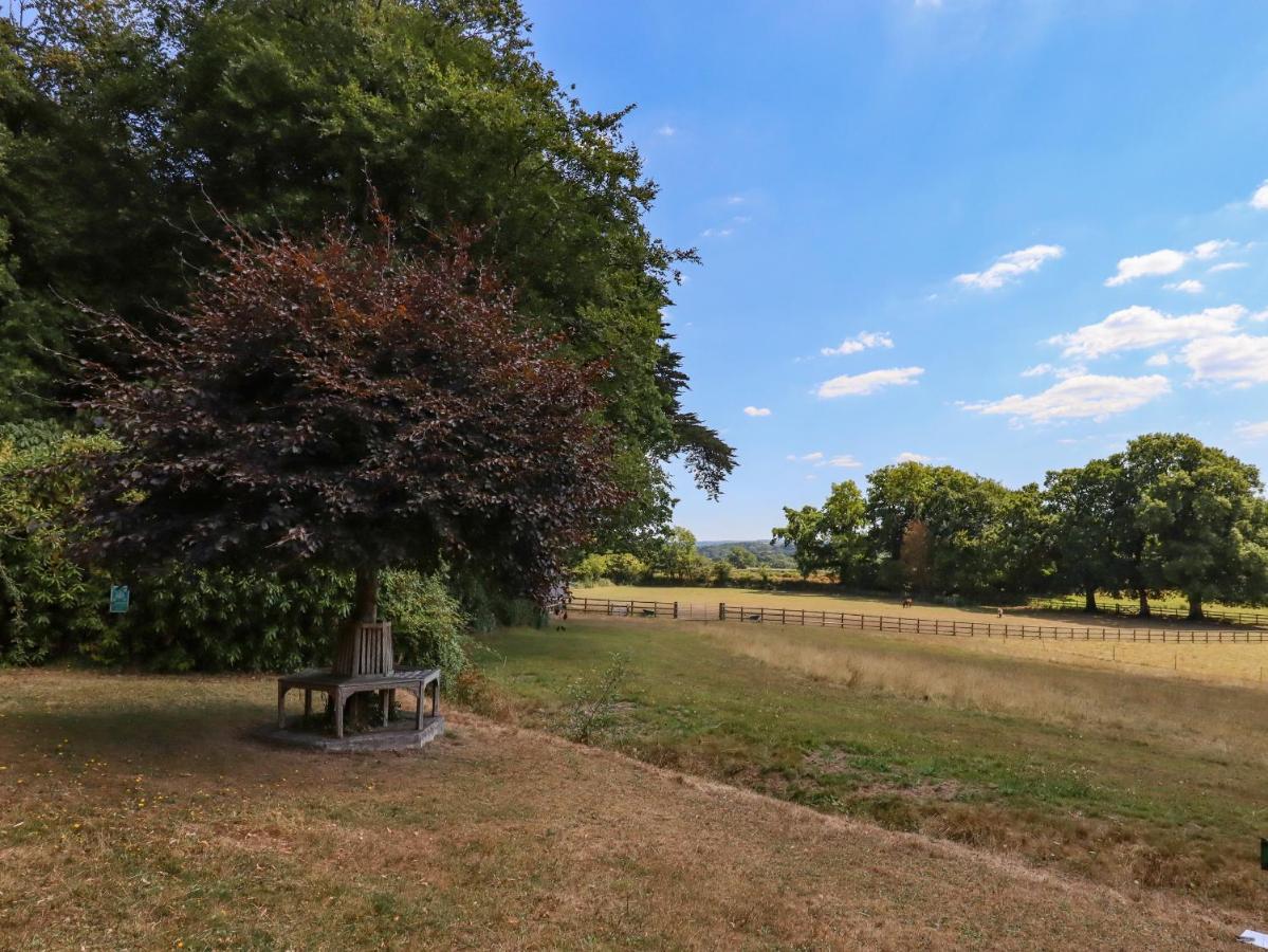 Nethercott House Winkleigh Zewnętrze zdjęcie