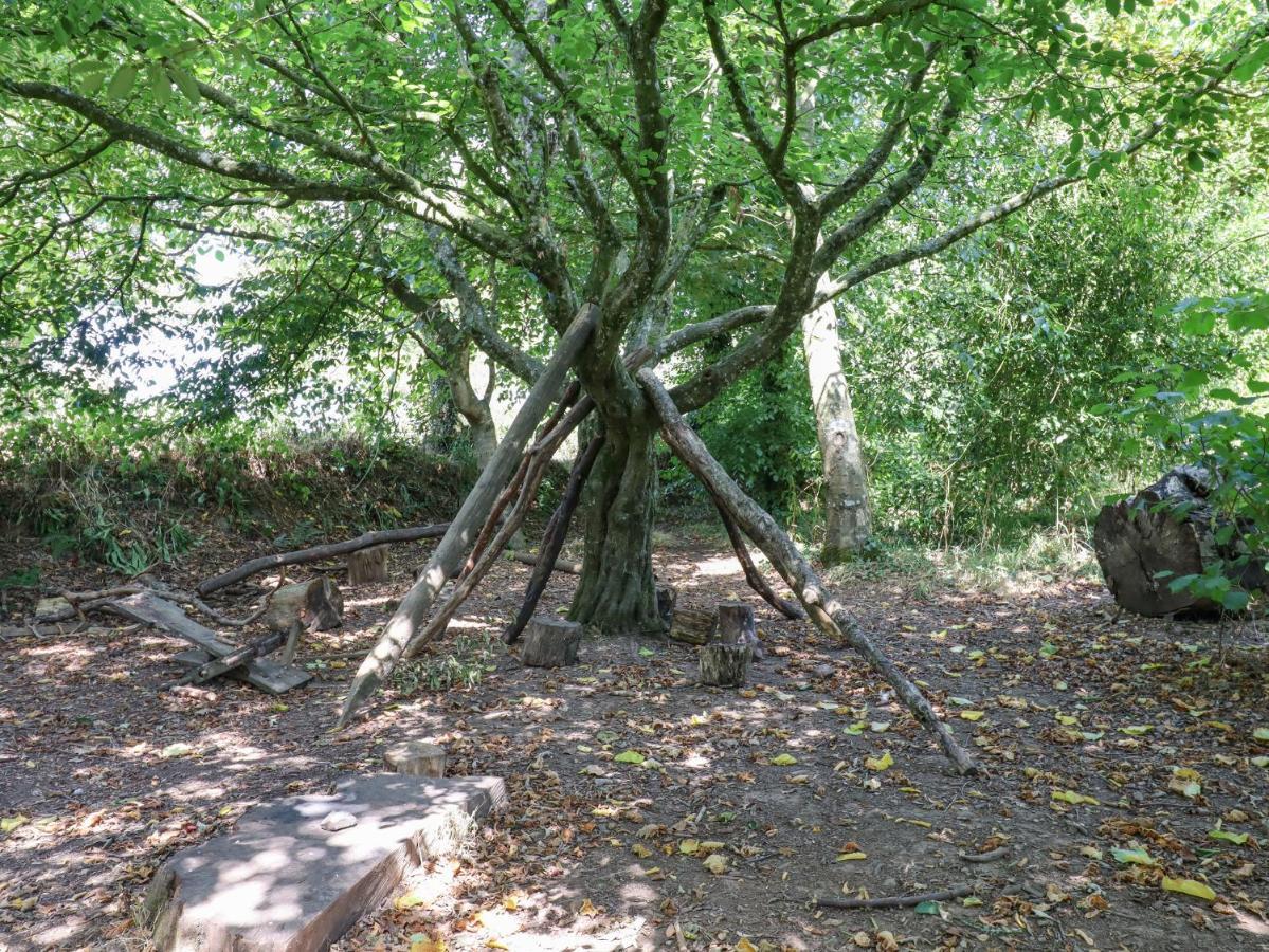 Nethercott House Winkleigh Zewnętrze zdjęcie